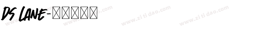 DS Lane字体转换